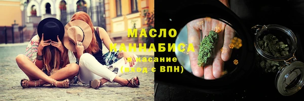 сатива Аркадак