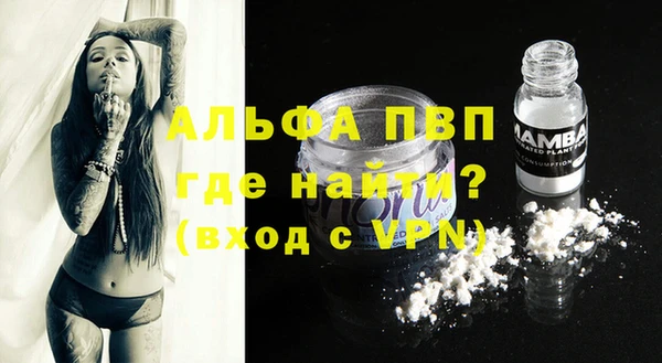 сатива Аркадак