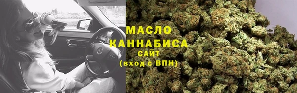 сатива Аркадак