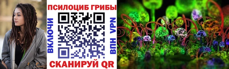 Галлюциногенные грибы мицелий  купить закладку  Лесной 